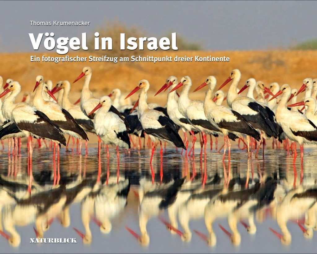 Vögel in Israel