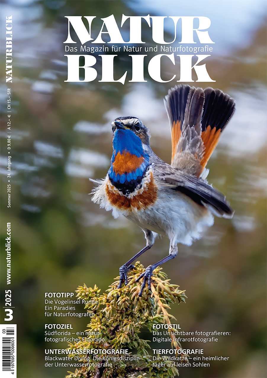 Zeitschrift 3-2025