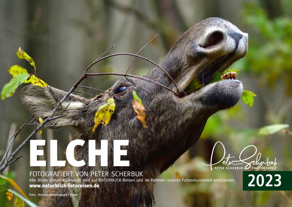 Tischkalender 2023 "Elche"