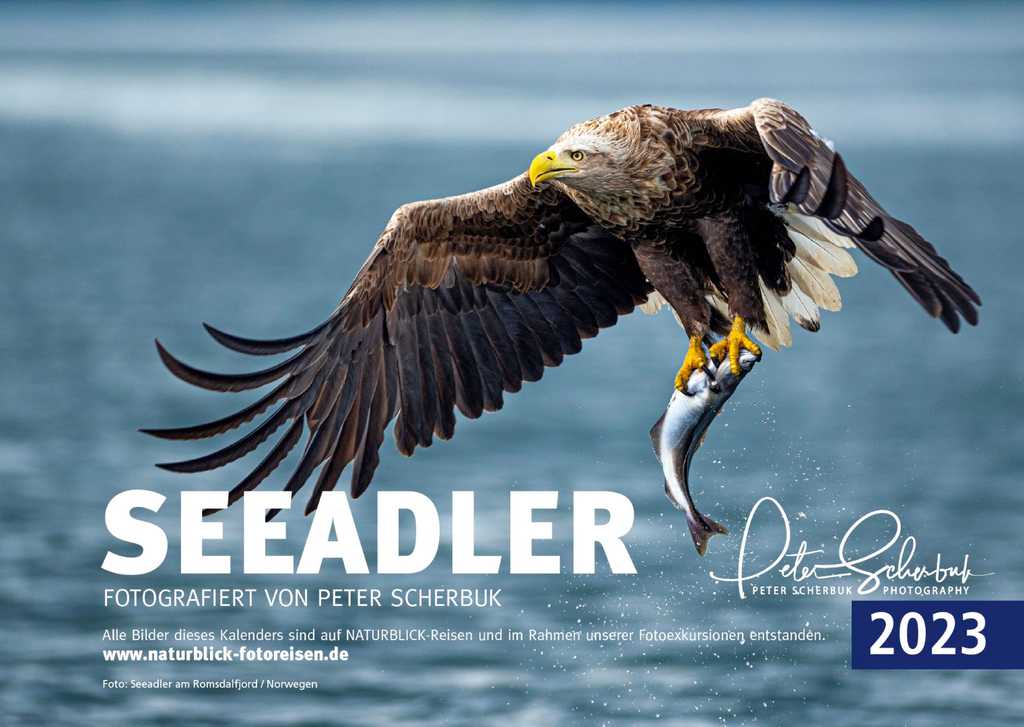 Tischkalender 2023 "Seeadler"